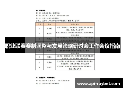 职业联赛赛制调整与发展策略研讨会工作会议指南 职业联赛赛制调整与发展策略研讨会工作会议指南