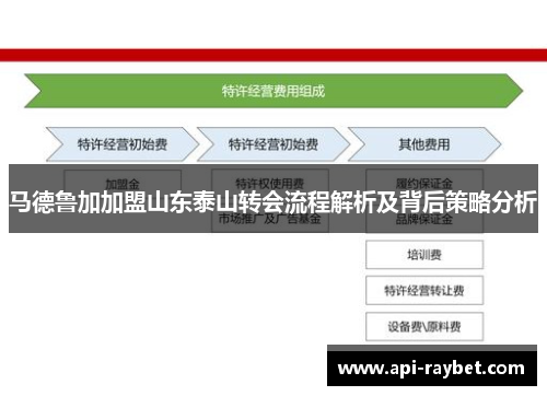 马德鲁加加盟山东泰山转会流程解析及背后策略分析