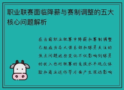 职业联赛面临降薪与赛制调整的五大核心问题解析